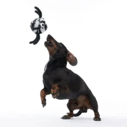 TIAKI Stretch Ball edderkop