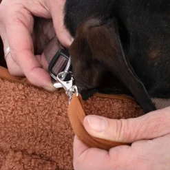 TIAKI Teddy bæretaske til hunde