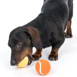 TIAKI tennisbolde til hunde i sæt