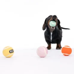 TIAKI tennisbolde til hunde i sæt