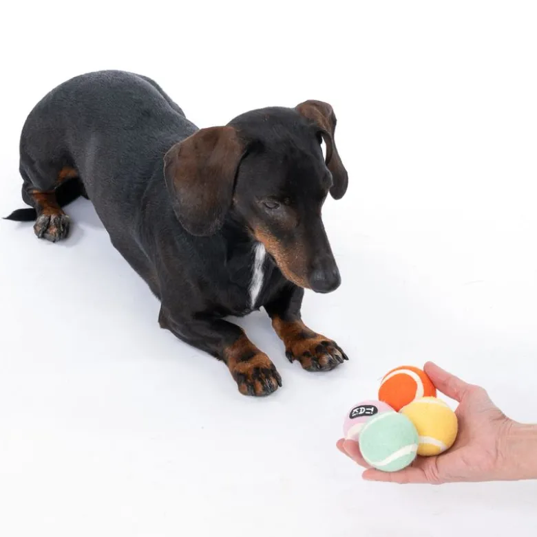 TIAKI tennisbolde til hunde i sæt