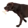TIAKI T-formet tyggelegetøj Peanut Butter