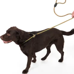 TIAKI Twist Retrieverline