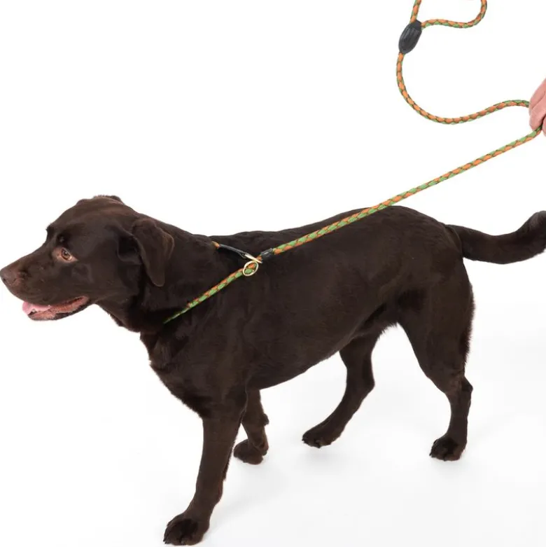 TIAKI Twist Retrieverline