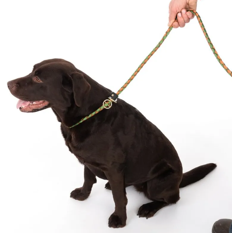 TIAKI Twist Retrieverline