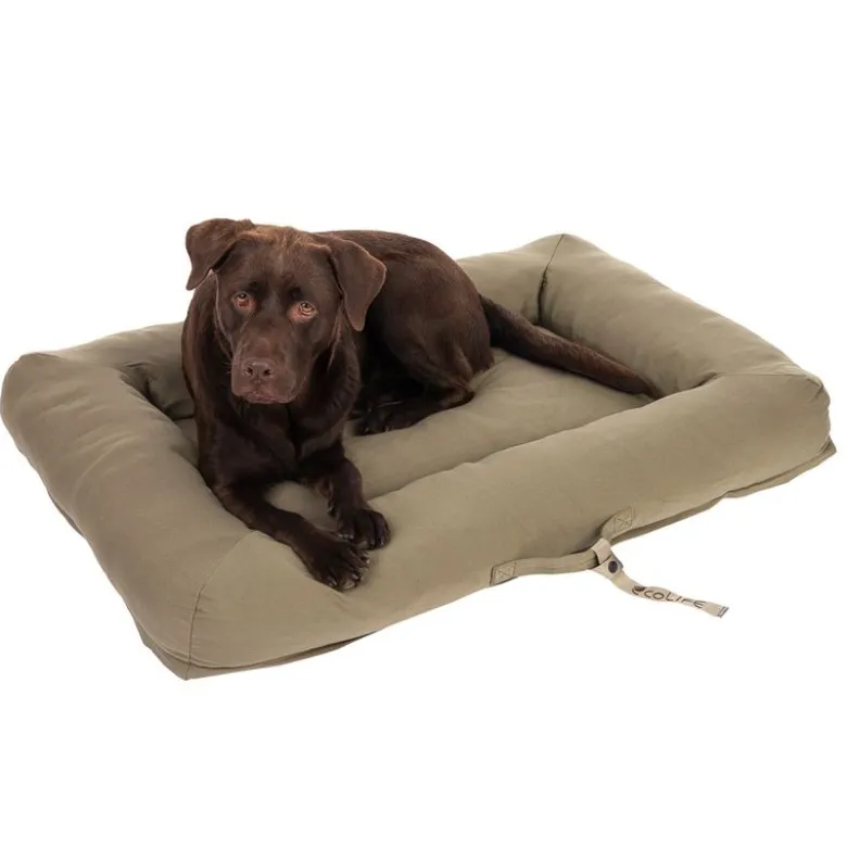 Toronto ecoLIFE Hundeseng