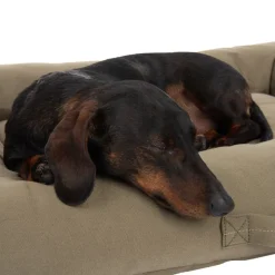 Toronto ecoLIFE Hundeseng