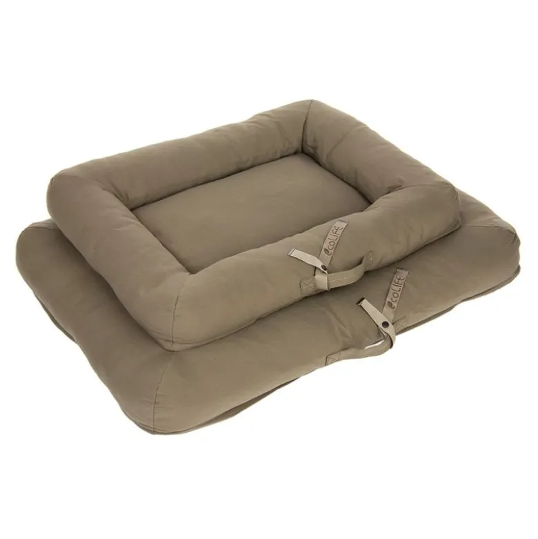 Toronto ecoLIFE Hundeseng