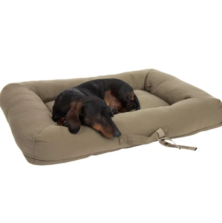 Toronto ecoLIFE Hundeseng