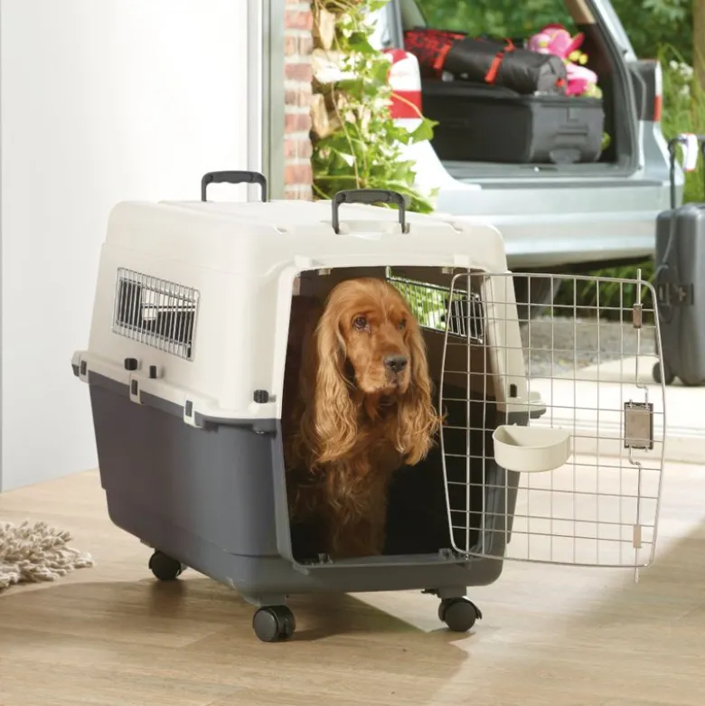Transportkasse Feria med hjul