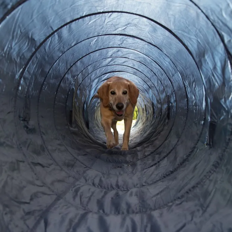 Trixie Agility Tunnel