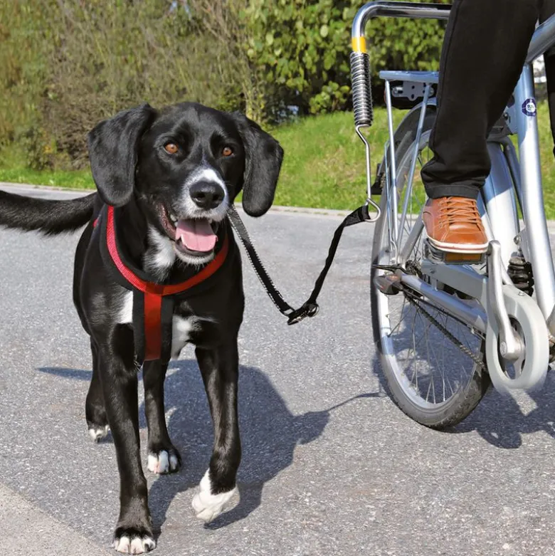 Trixie Biker-Set de Luxe
