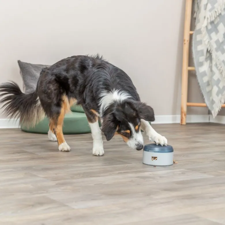 Trixie Dog Activity Buzzer strategispil