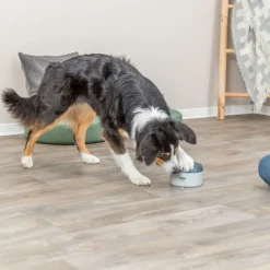 Trixie Dog Activity Buzzer strategispil