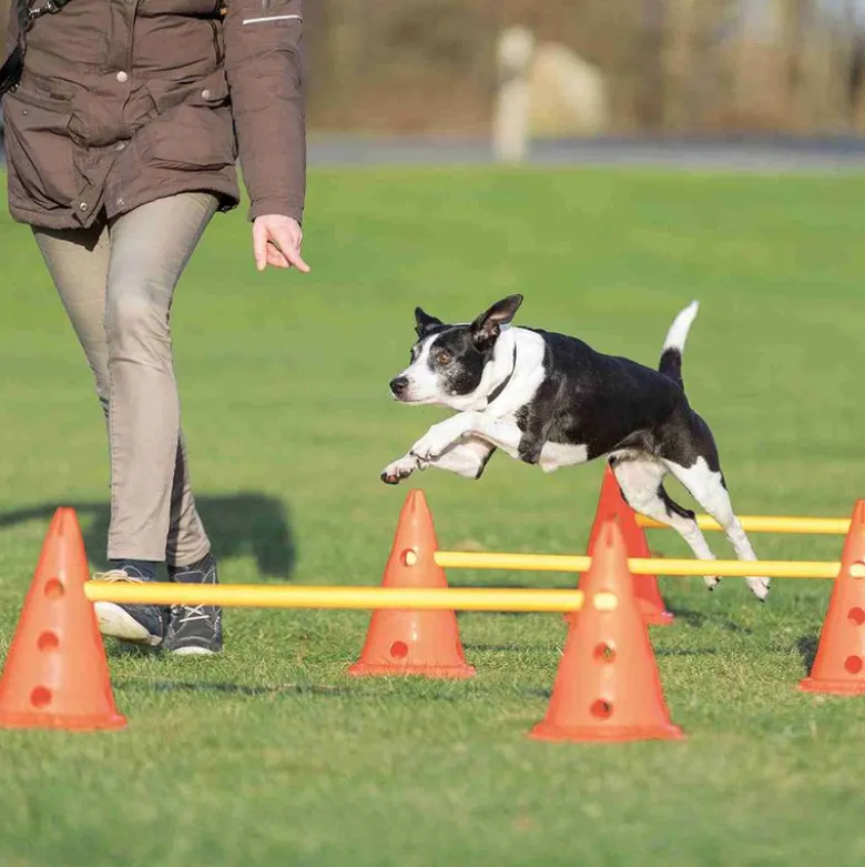 Trixie Dog Activity forhindringer, 3 stk.