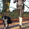 Trixie Hands Free Hundesnor / Løbebælte - sort