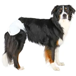 Trixie Hundebleer til tæver