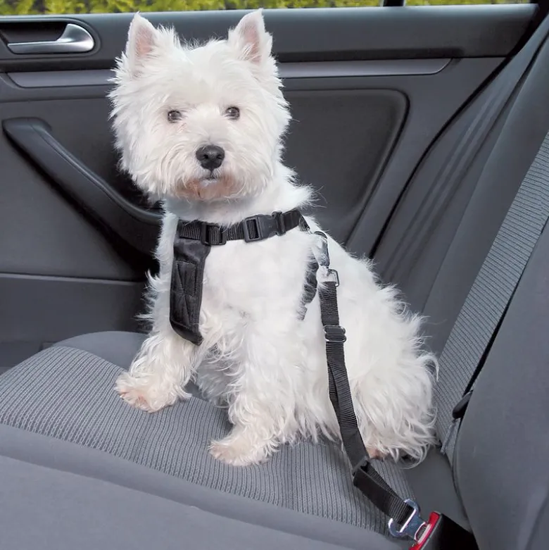 Trixie hundetæppe til bilen + Trixie hundesele
