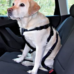 Trixie hundetæppe til bilen + Trixie hundesele