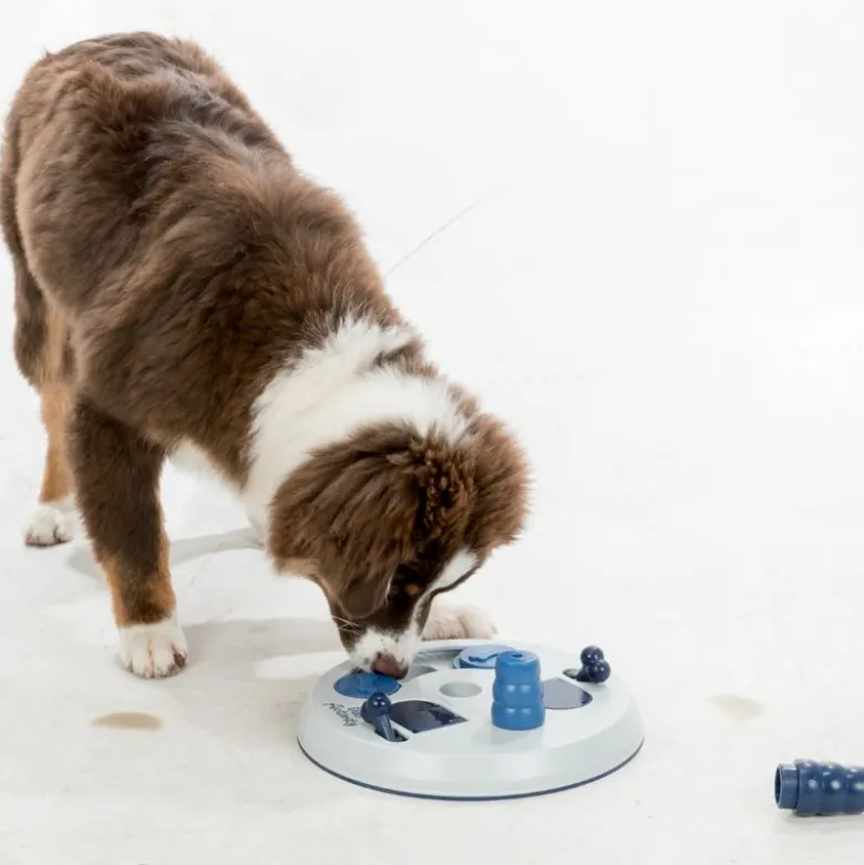 Trixie intelligenslegetøj Dog Activity Flip Board