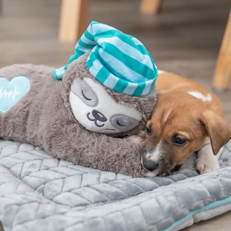 Trixie Junior hundelegetøj dovendyr