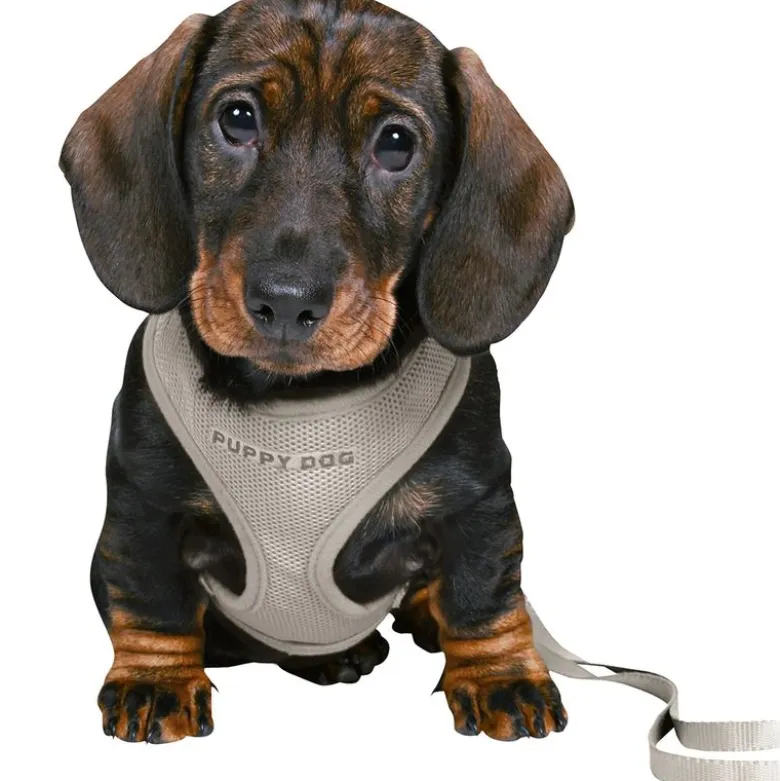 Trixie Junior Hvalpe-Softsele & Snor