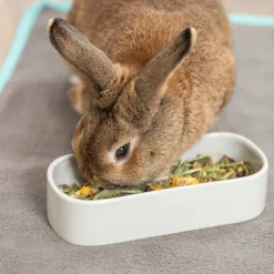 Trixie keramikskål til smådyr, oval