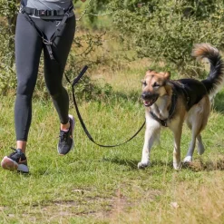 Trixie mavebælte med snor