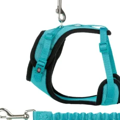Trixie Mesh Y-Sele & elastisk Snor