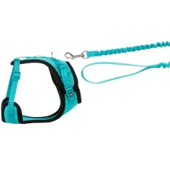 Trixie Mesh Y-Sele & elastisk Snor