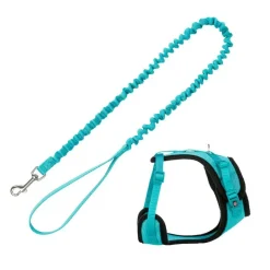 Trixie Mesh Y-Sele & elastisk Snor