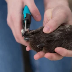 Trixie Negleklipper DeLuxe til hunde - stor