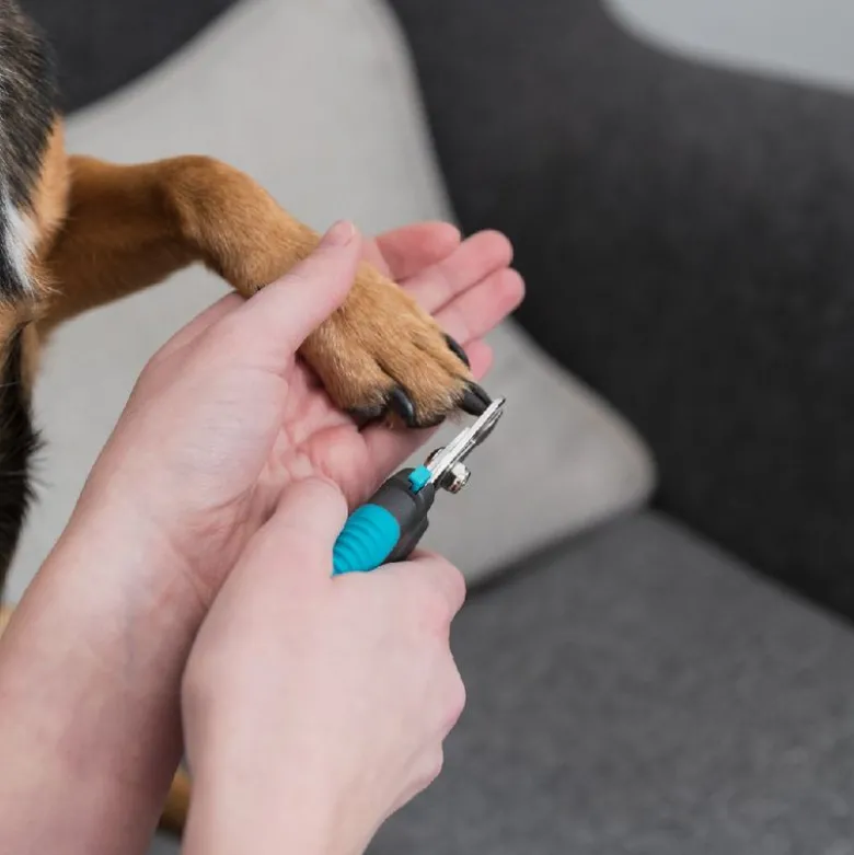 Trixie Negleklipper DeLuxe til hunde - stor