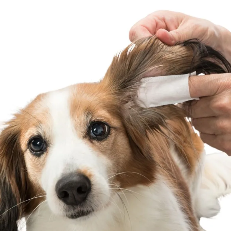Trixie øreplejepuder