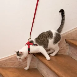 Trixie sikkerhedssele til katte