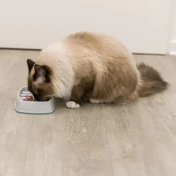 Trixie Slow Feeding Plastskål
