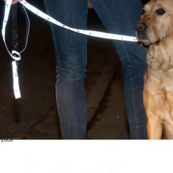 Trixie Sæt: halsbånd + hundesnor med potemotiv og refleks - sølv