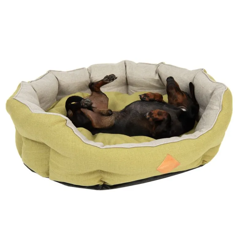 Venice Hundeseng
