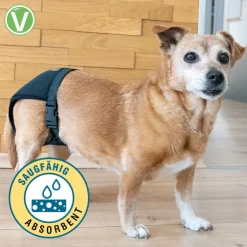 Vetlando Hunhundeble