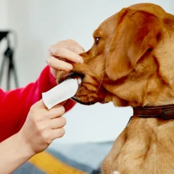 Vet's Best® Clean Tandrenspads
