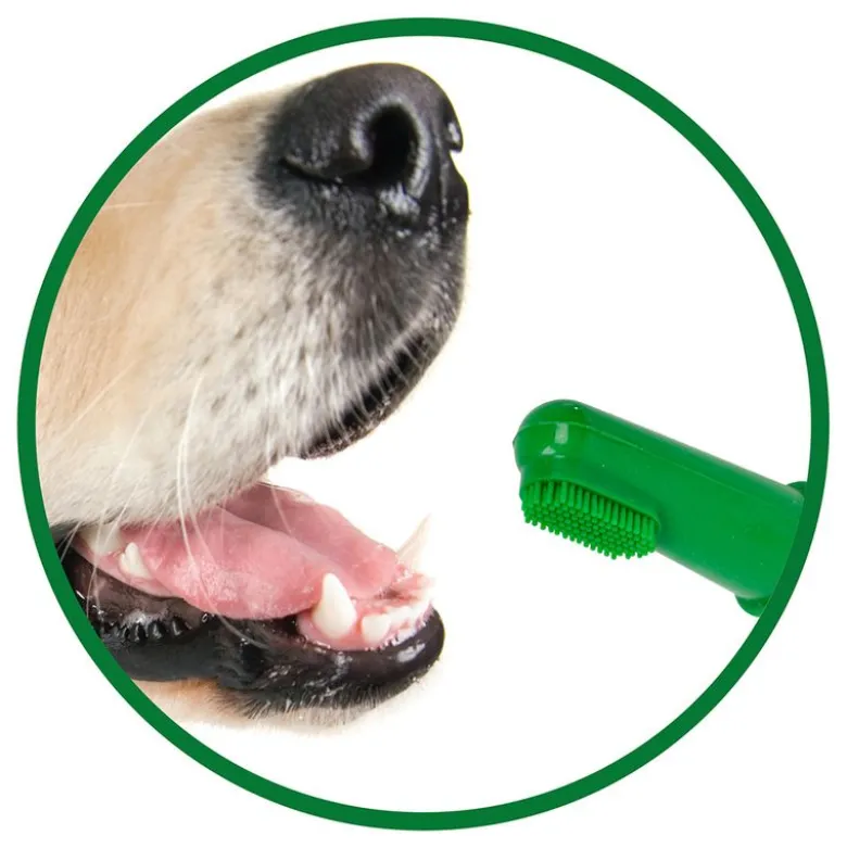Vet's Best® Fingertandbørste