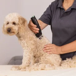 WAHL® Arco Pro klippemaskine