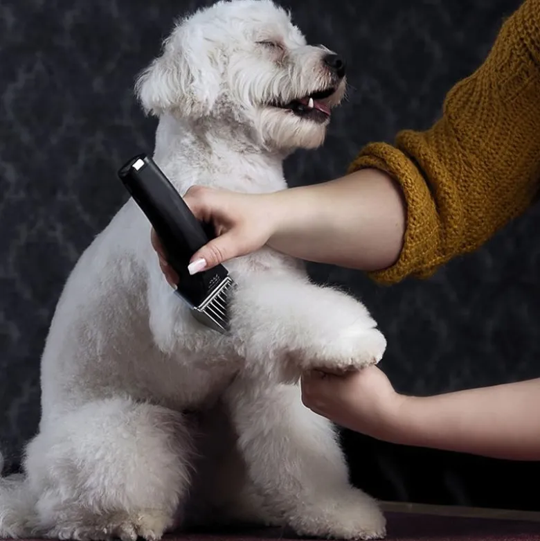 WAHL® Arco Pro klippemaskine