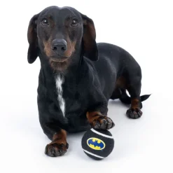 Warner Bros™ DC Batman tennisboldsæt