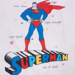 Warner Bros™ DC Superman hundemadras