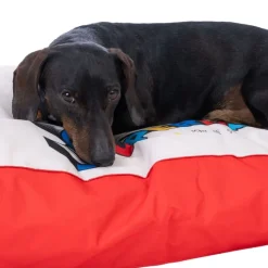 Warner Bros™ DC Superman hundemadras