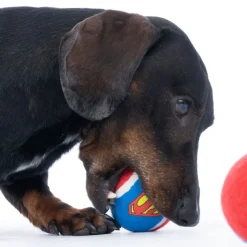 Warner Bros™ DC Superman tennisboldsæt