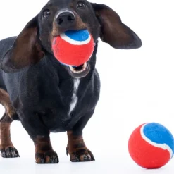 Warner Bros™ DC Superman tennisboldsæt
