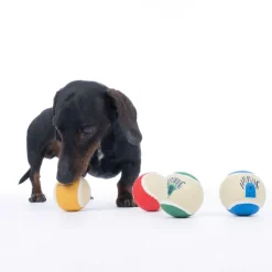 Warner Bros™ Harry Potter tennisboldsæt Hogwarts