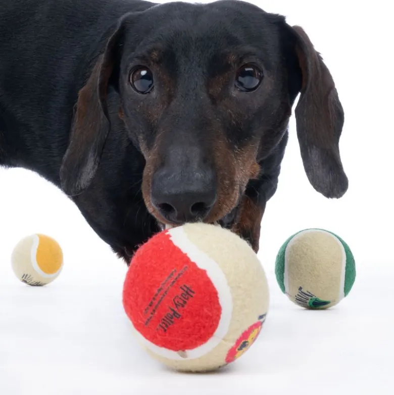 Warner Bros™ Harry Potter tennisboldsæt Hogwarts